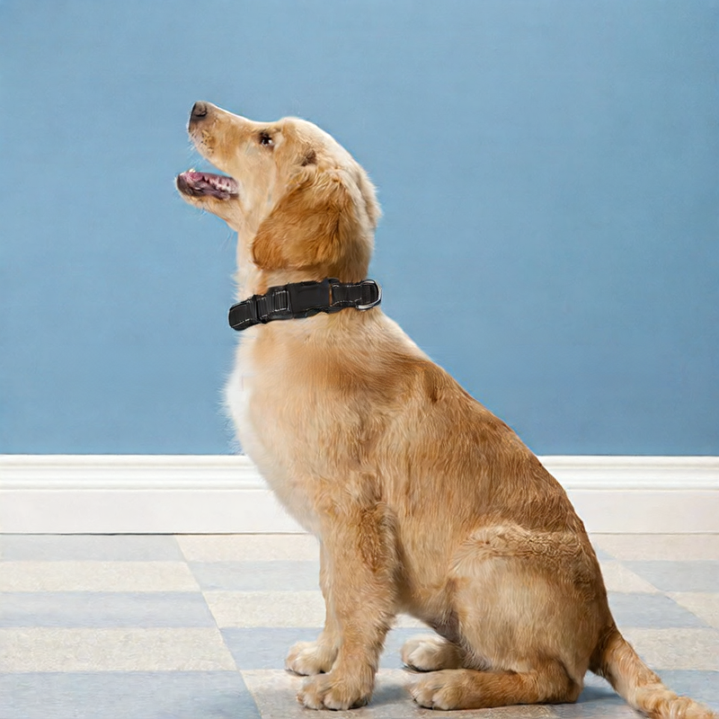 Leather tag printing for dog collars LIGHT BALT FOR DOG