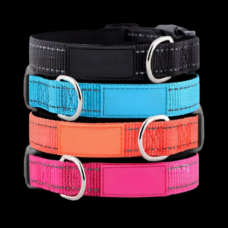 Leather tag printing for dog collars LIGHT BALT FOR DOG