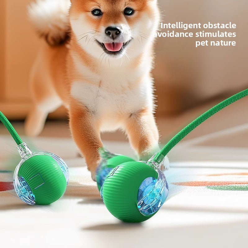 Automatic Electric Dog Toy Ball , Material: Silicone
Weight: 75g
Power: Built-in electric motor (specs not provided)
Adjustable Modes: 3-speed settings