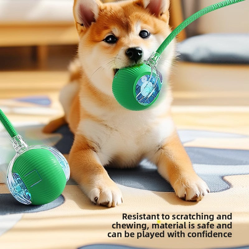 Automatic Electric Dog Toy Ball , Material: Silicone
Weight: 75g
Power: Built-in electric motor (specs not provided)
Adjustable Modes: 3-speed settings